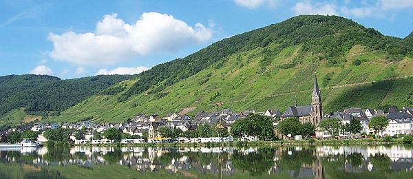 St. Aldegund an der Mosel