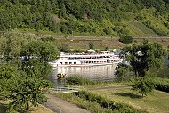 Aussicht auf die Mosel